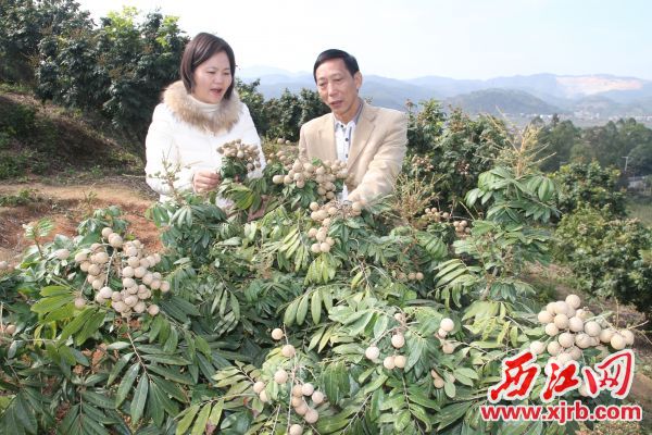 没有任何描述