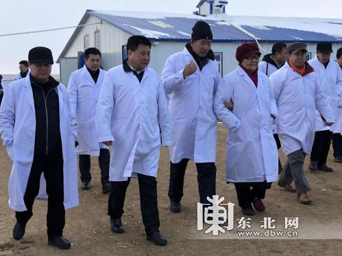 黑河市孙吴县打造中国安格斯肉牛之乡