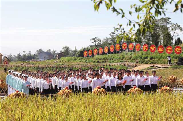 梁平:稻花香里喜庆丰收 乡村振兴全面发力