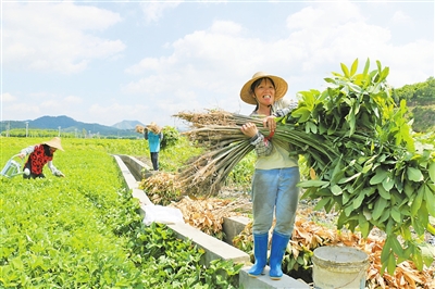 扶贫抓产业 产业抓特色 新兴投入9000多万元发