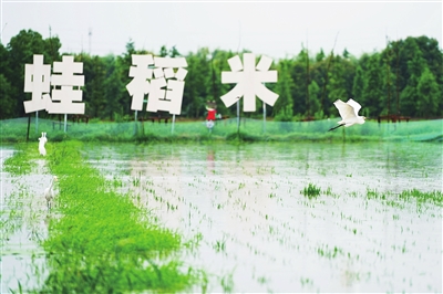 2019.7.5.1.jpg