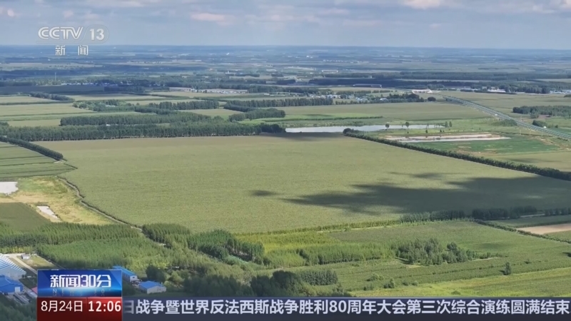 [新闻30分]秋粮长势总体正常_加强田管夯实丰收基础_2025-08-24_12_19_32.jpg