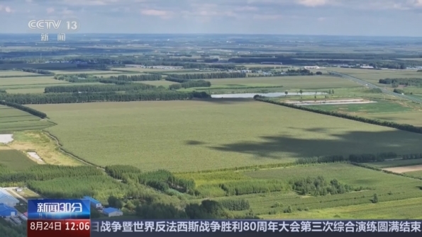 [新闻30分]秋粮长势总体正常_加强田管夯实丰收基础_2025-08-24_12_19_32.jpg