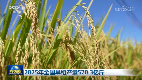 [视频]2025年全国早稻产量570_3亿斤_2025-08-22_19_29_13.jpg
