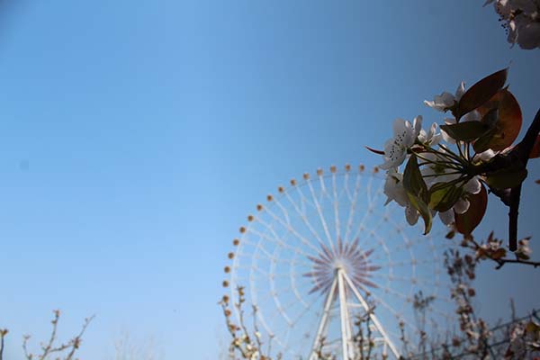天乐湖摩天轮.jpg