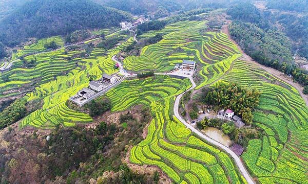 精品点1民生花海图片_20190304140508.jpg