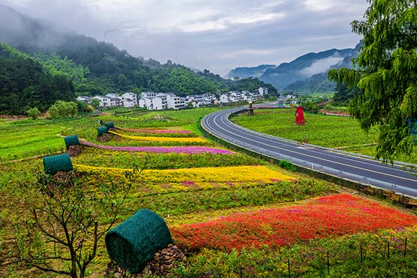 精品点3.程丰花谷田园.jpg