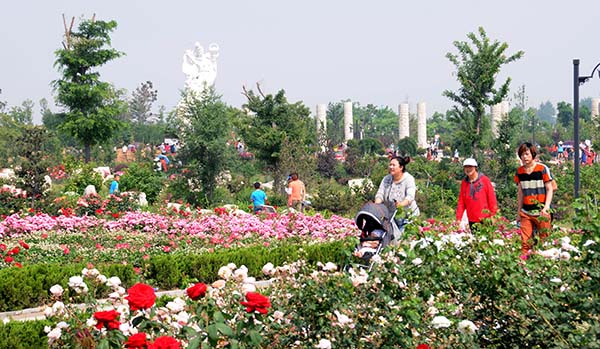 中华月季园春景.jpg