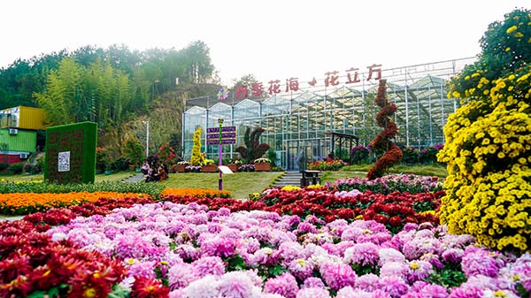 花立方.jpg