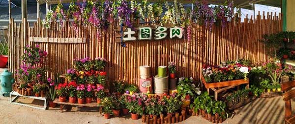 4土图多肉基地照片.jpg