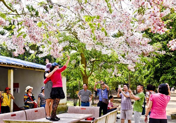 3大顺共享农庄（1）.jpg
