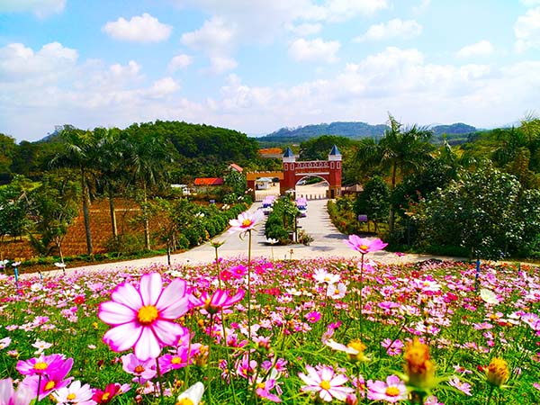 园区入口.jpg