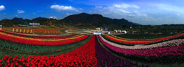 四季花谷.jpg