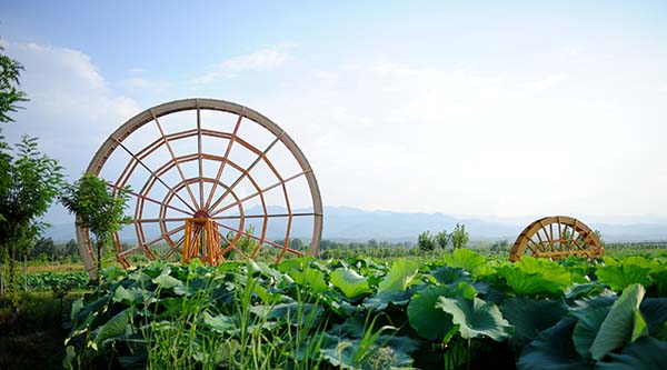 ADJ_8709.jpg