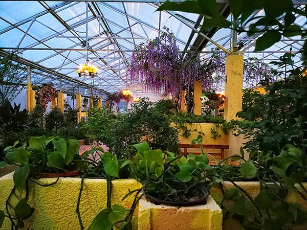 花田云海生态餐厅内景.jpg