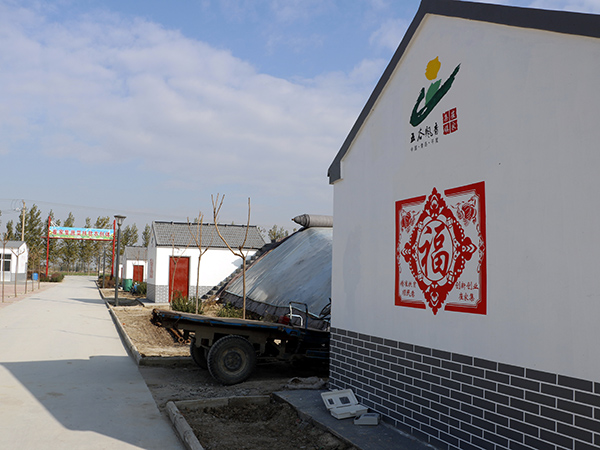 崔家集蔬菜扶贫农创体园内景观图.jpg