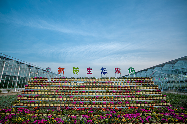 农场大门.JPG