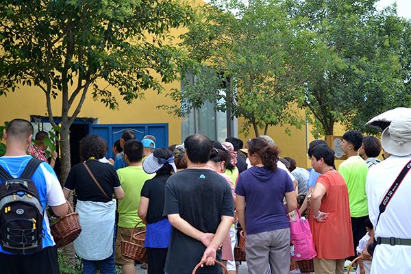青岛年猪旅游参观年猪育成舍.jpg