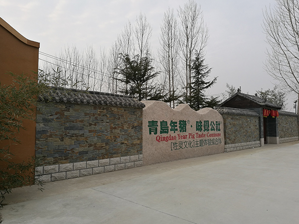 青岛年猪味觉公社主门.jpg