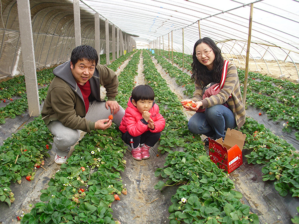 东沙窝草莓采摘园 (3).JPG