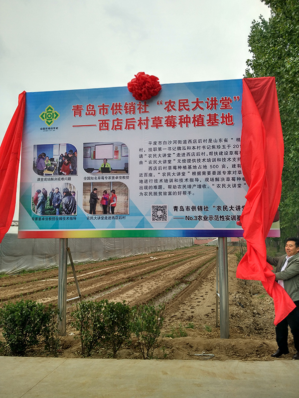 西店后草莓基地揭牌.jpg