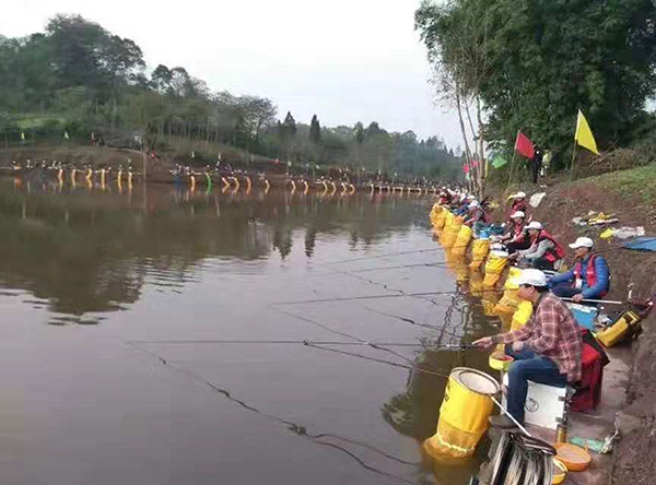 三青台休闲垂钓比赛.jpg
