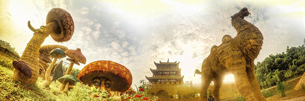图片15.png