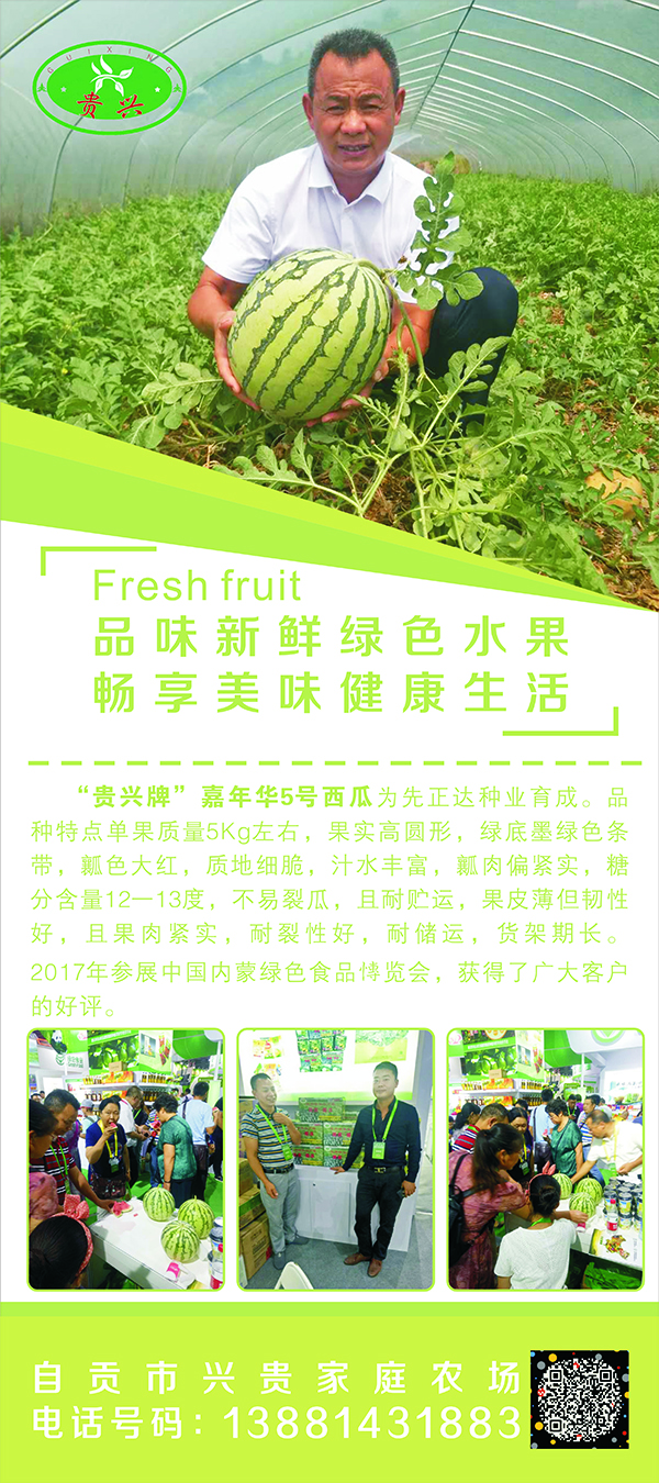 马丘村考举西瓜.jpg