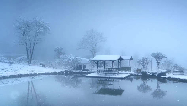 红白镇红枫林.jpg