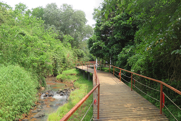 热带雨林峡谷.JPG