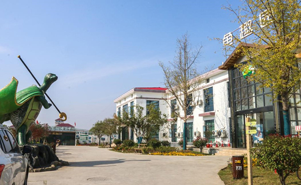 图片8.jpg