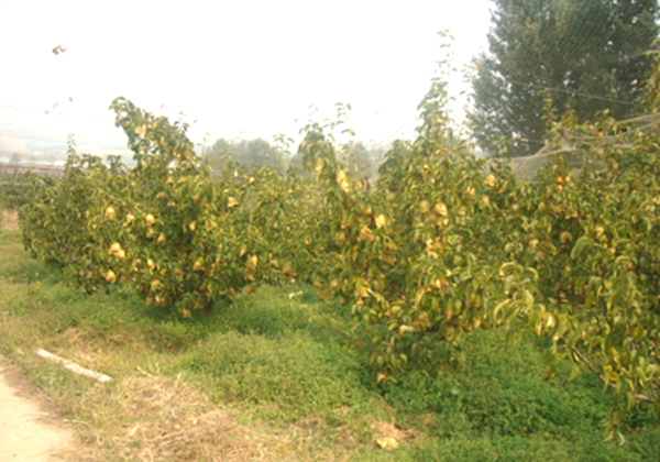 2014101310647766.jpg