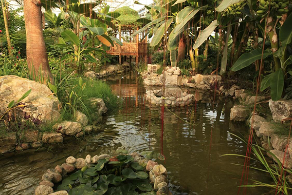 芊景植物园.jpg