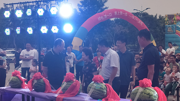2018年采摘节领导视察.jpg