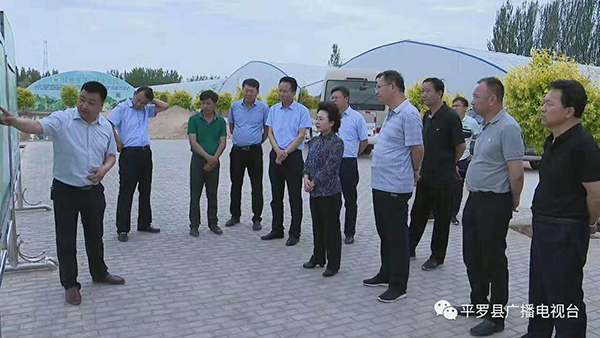 各级领导园区视察指导.jpg