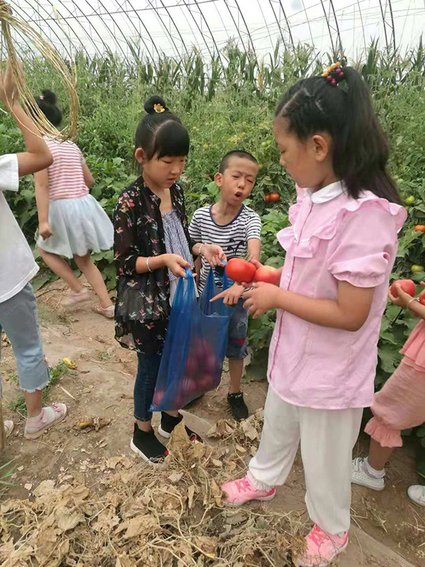活波的孩子们体验采摘乐趣.jpg