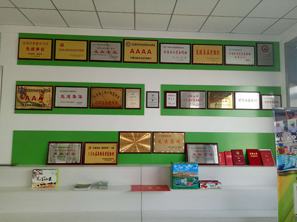 奖励背景墙.jpg