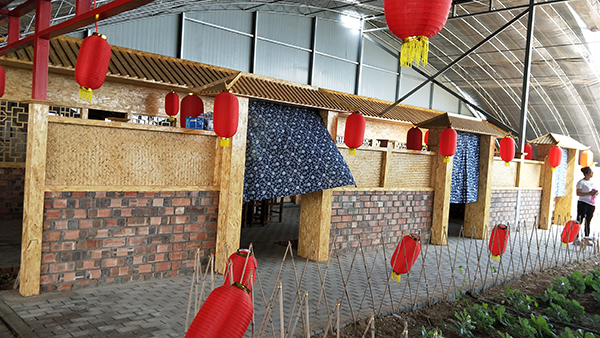 农家小院.jpg
