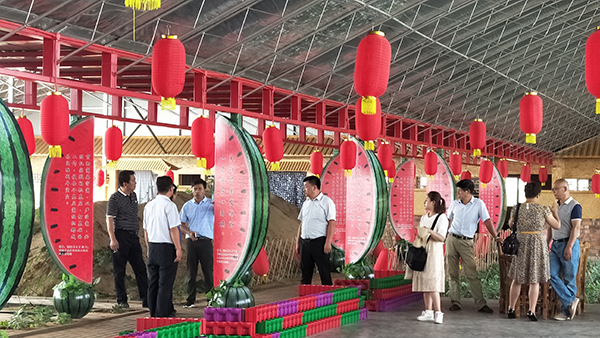 特色西瓜长廊 (2).jpg
