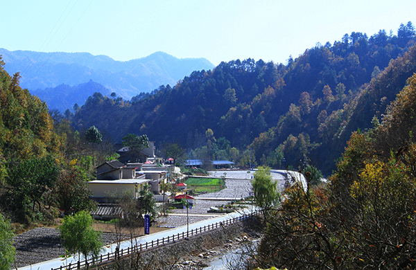 木耳小镇-地栽木耳基地.jpg