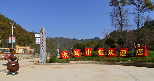 木耳小镇-迎宾区.jpg