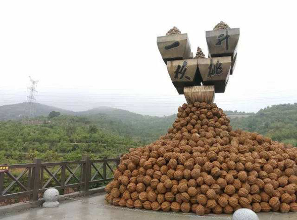 核桃公园5.jpg