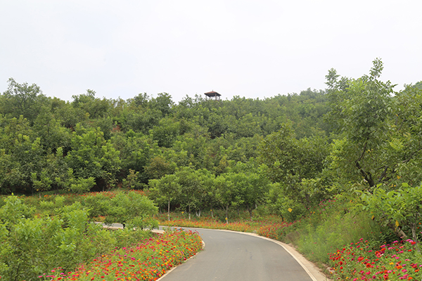 核桃公园7.jpg