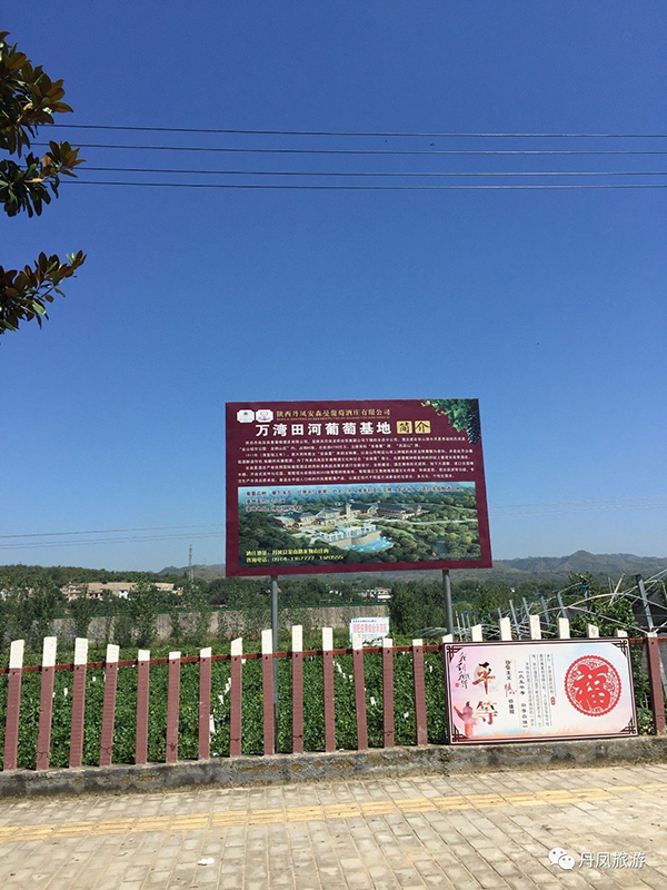 采摘1 (2).jpg