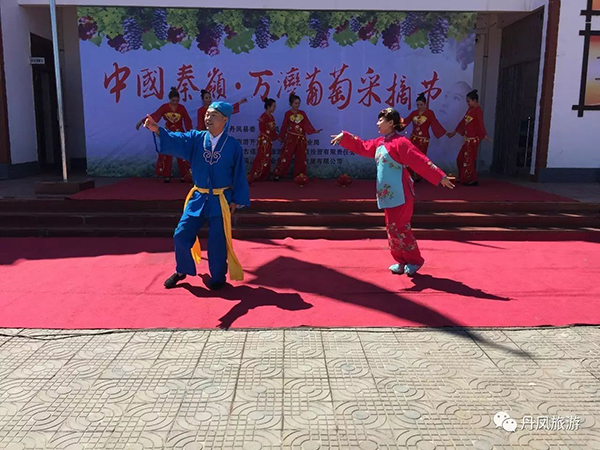 采摘4.jpg
