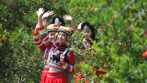 石榴花开.jpg