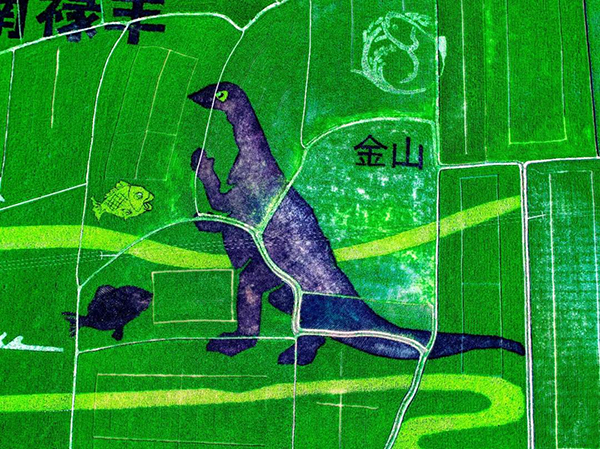 图片8.jpg