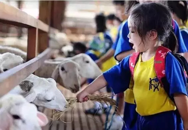图片40.jpg