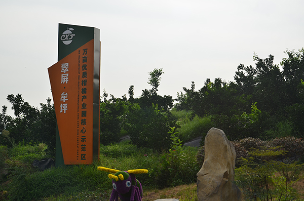 园区景色 (3).JPG