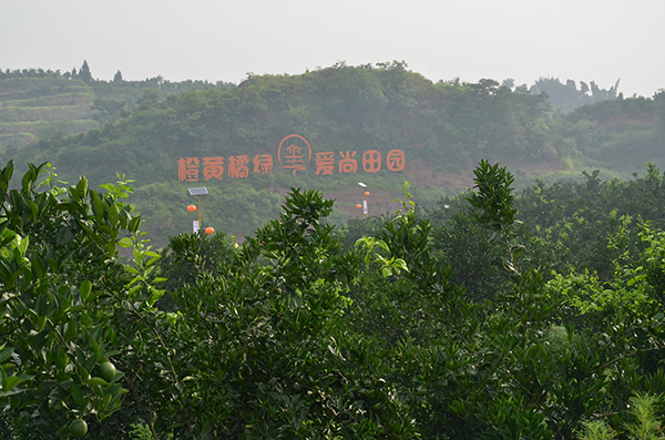 园区景色 (7).JPG
